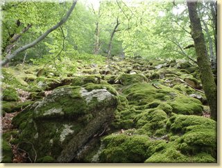 Ardeche55.JPG