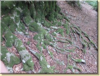 Ardeche57.JPG