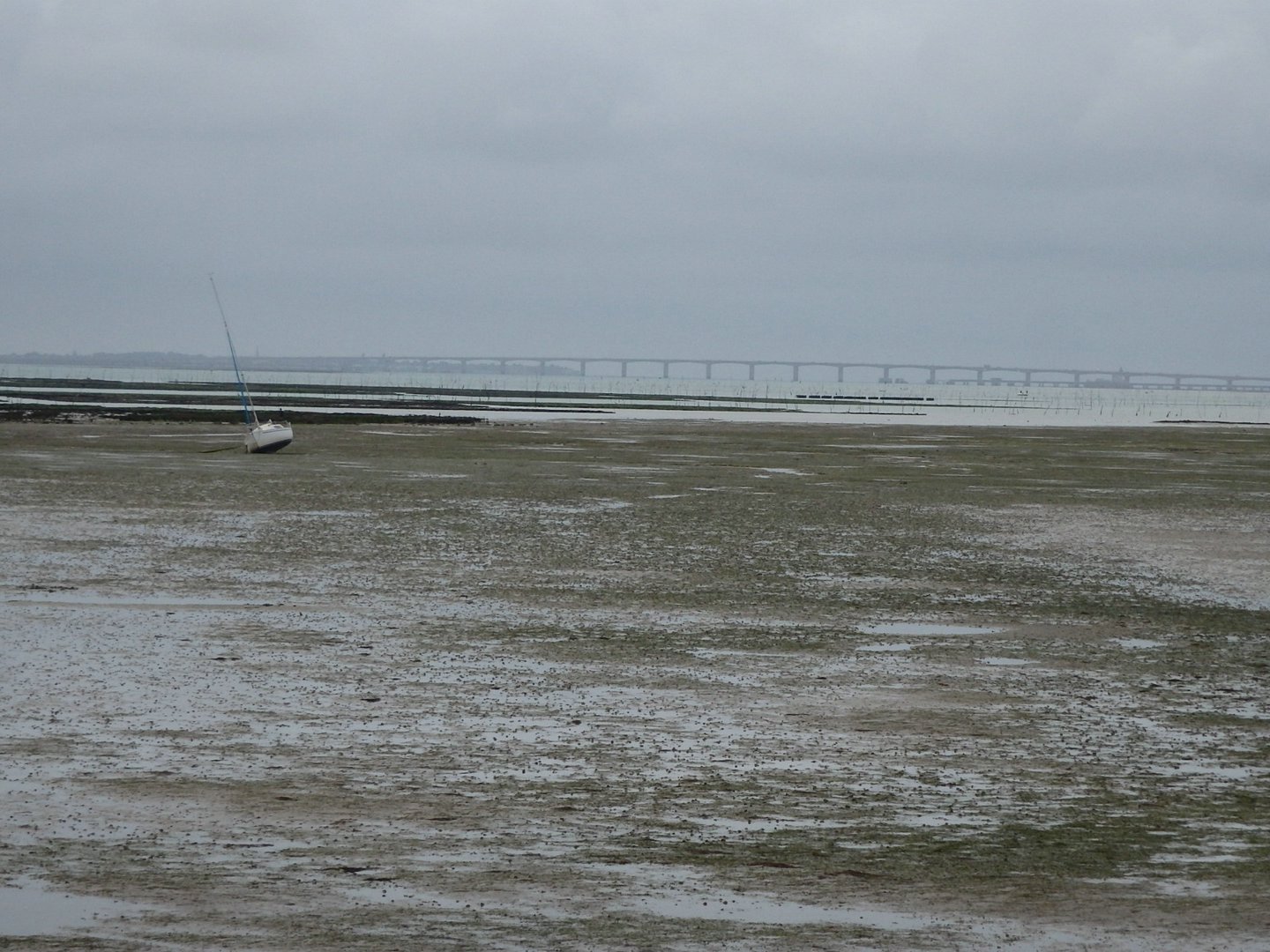 Royan125.JPG
