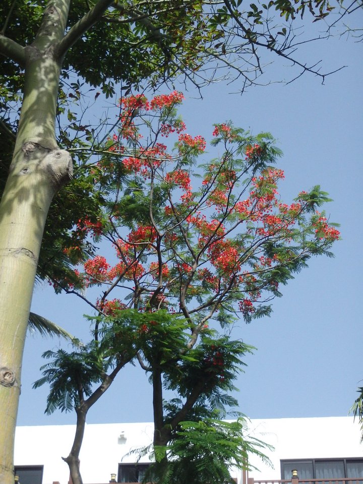 Cancun369.JPG