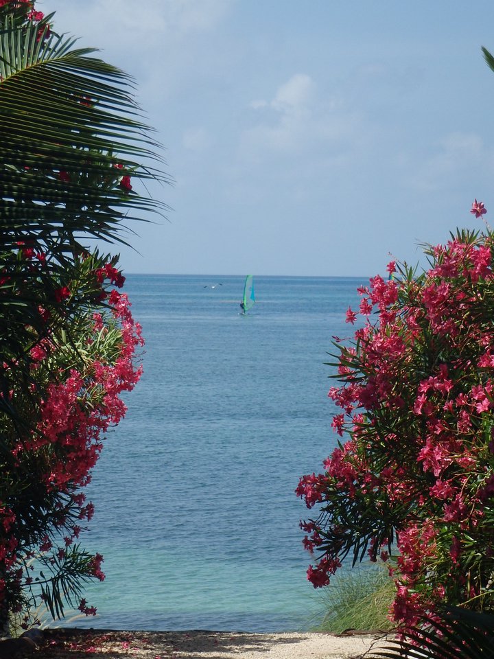 Cancun382.JPG
