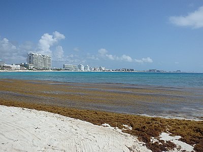 Cancun242.JPG