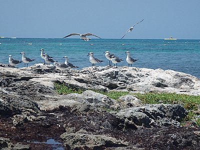 Cancun259.JPG