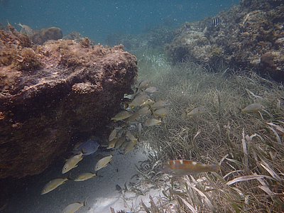Cancun362.JPG