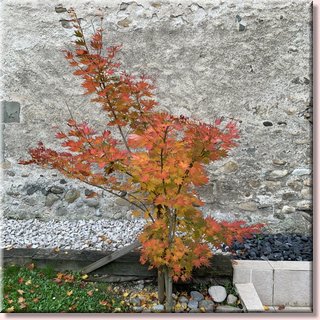 autumn19_233.jpg
