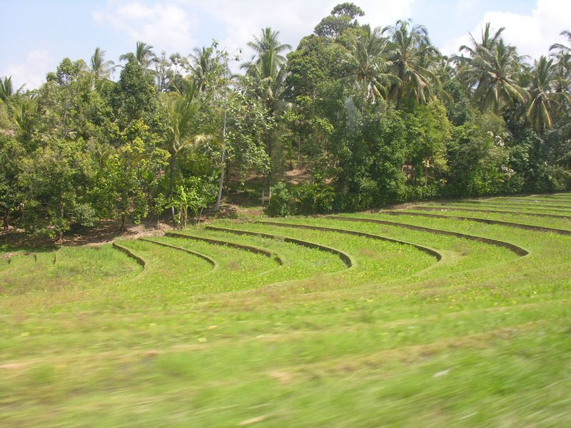 Bali_P117.JPG