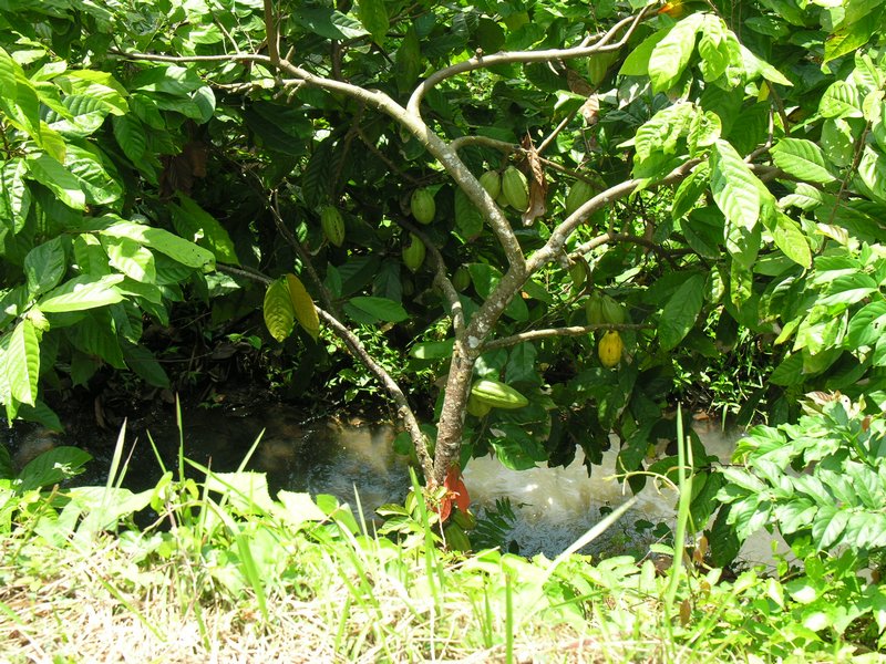 Bali_P118.JPG