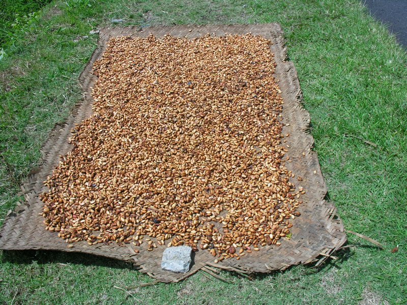 Bali_P119.JPG