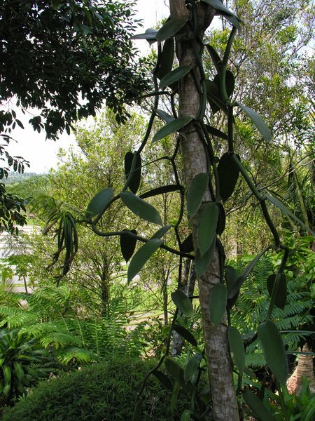Bali_P126.JPG
