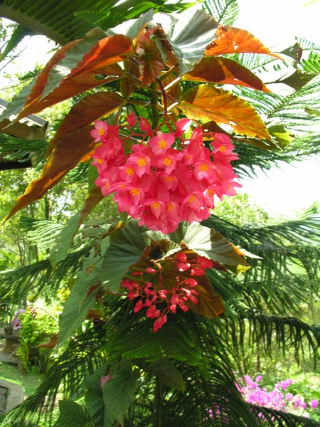Bali_P127.JPG
