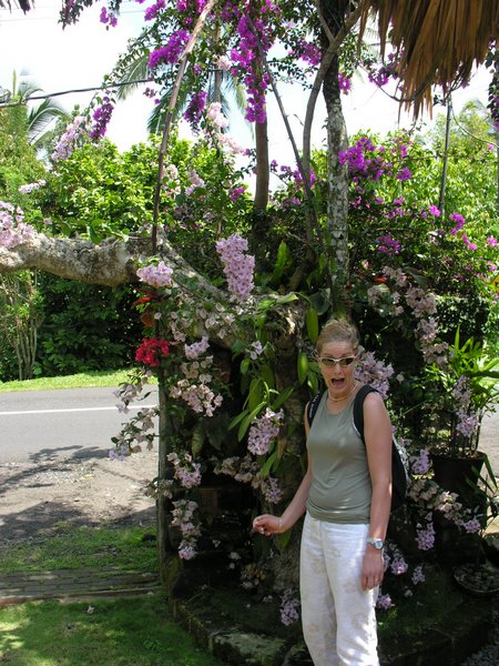 Bali_P132.JPG