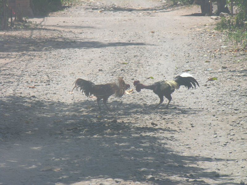 Bali_P134.JPG