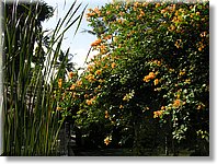 Bali_P114.JPG