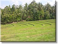 Bali_P117.JPG