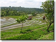 Bali_P120.JPG