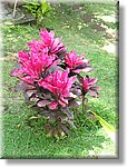 Bali_P128.JPG