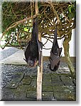 Bali_P131.JPG