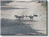 Bali_P134.JPG