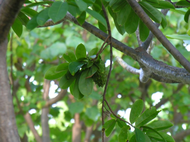 Bali_P202.JPG