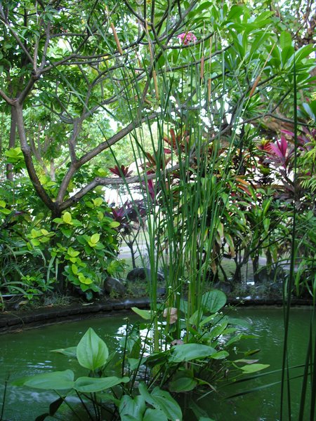 Bali_P203.JPG