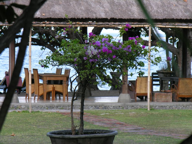 Bali_P205.JPG