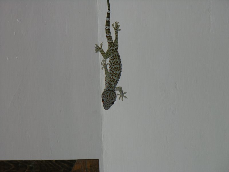 Bali_P210.JPG