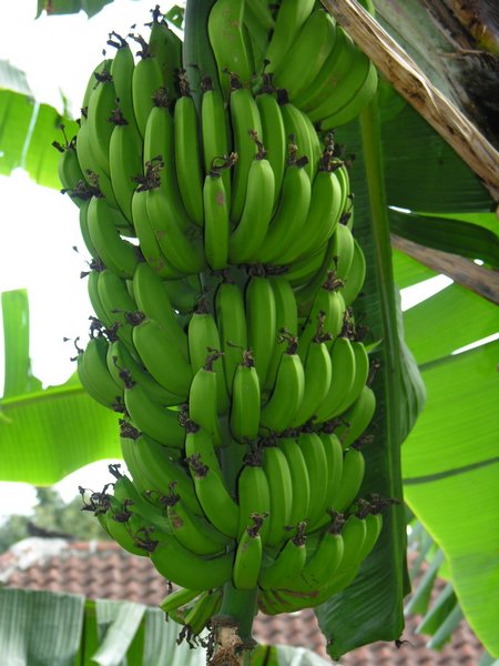 Bali_P239.JPG