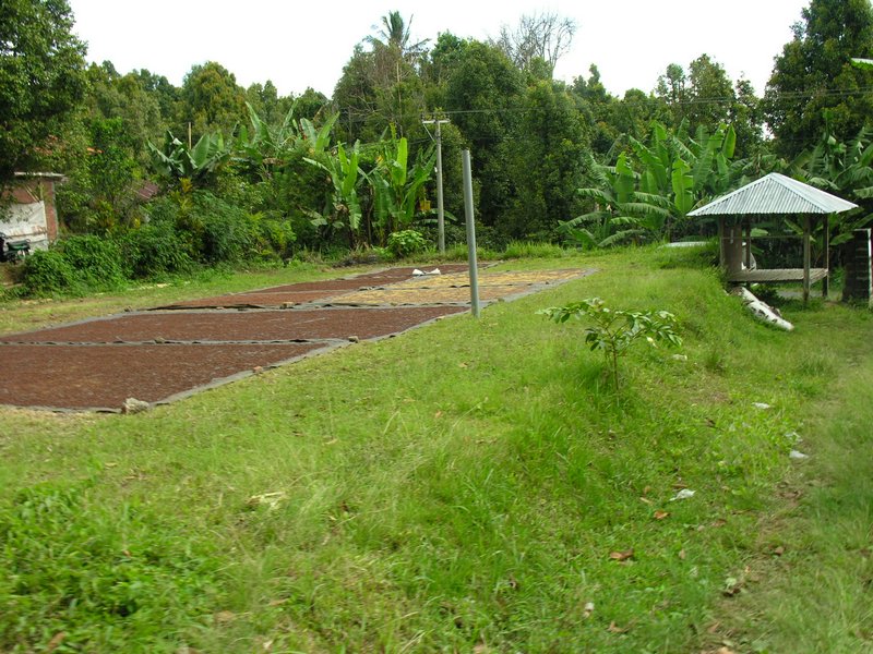 Bali_P240.JPG