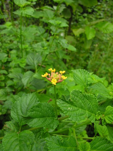 Bali_P242.JPG