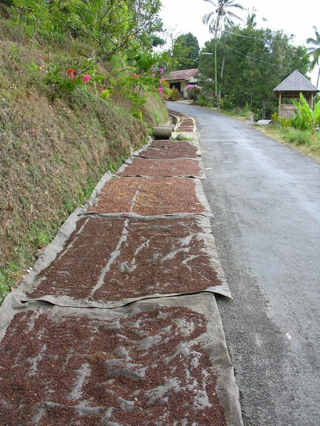 Bali_P243.JPG
