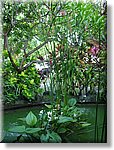 Bali_P203.JPG