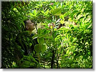 Bali_P216.JPG
