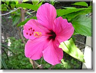 Bali_P219.JPG
