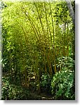 Bali_P229.JPG