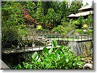 Bali_P230.JPG