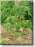 Bali_P233.JPG