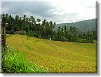 Bali_P234.JPG