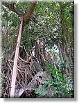 Bali_P238.JPG