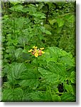Bali_P242.JPG
