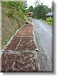 Bali_P243.JPG