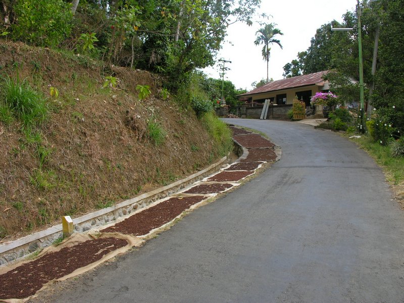 Bali_P302.JPG