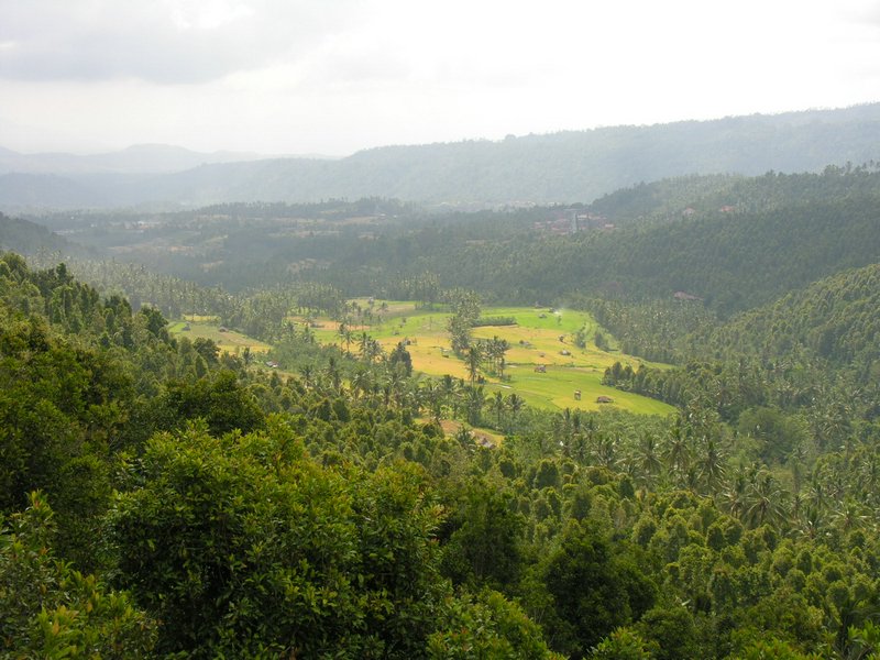 Bali_P303.JPG