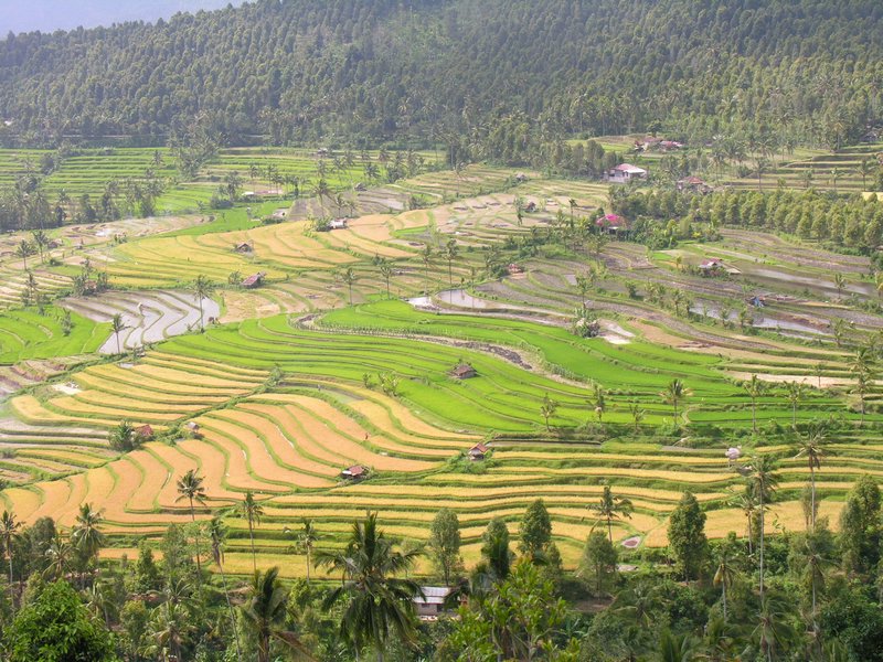 Bali_P304.JPG