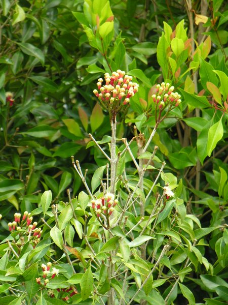Bali_P305.JPG