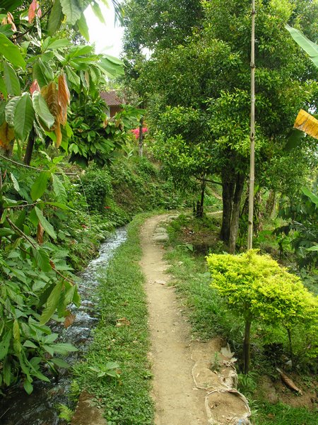 Bali_P306.JPG