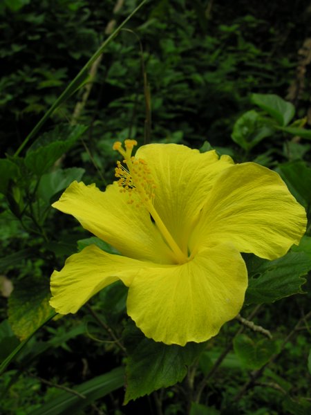 Bali_P312.JPG