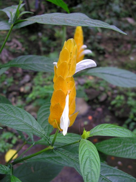 Bali_P314.JPG