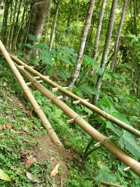 Bali_P319.JPG