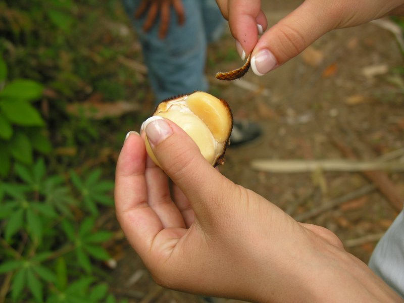 Bali_P325.JPG