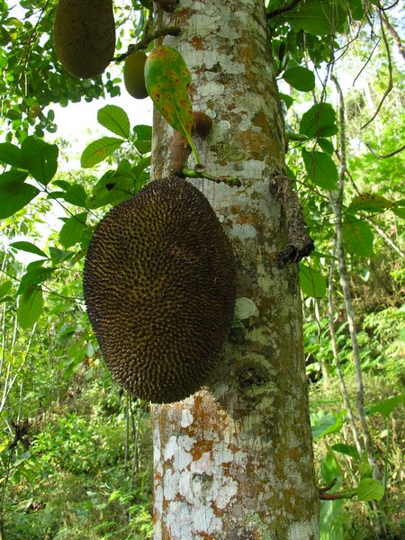 Bali_P326.JPG